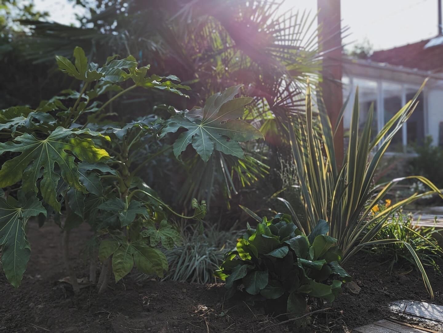 aménagement paysagers seine et marne