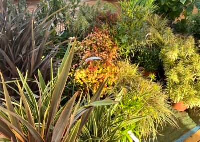 créations d'espaces végétales seine et marne 77