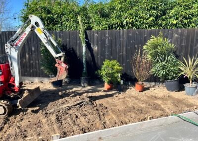 plantations seine et marne