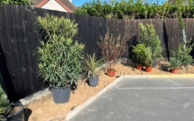 Paysagiste créateur de jardin en Seine-et-Marne (77) – Woodpecker, expert en création paysagère sur-mesure