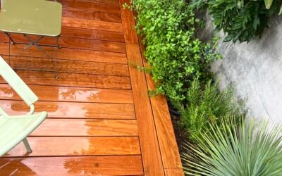 Terrasse bois extérieure : conception, pose et essences durables