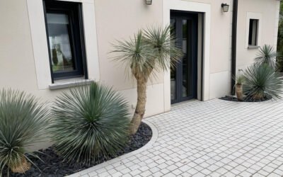 Allée pavée carrossable en Seine-et-Marne (77) : la solution durable pour une entrée de maison