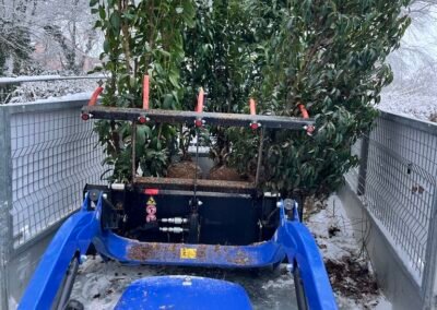 Occultation immédiate, enracinement durable