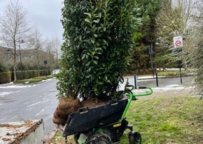 Occultation immédiate, enracinement durable