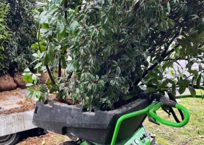 Occultation immédiate, enracinement durable