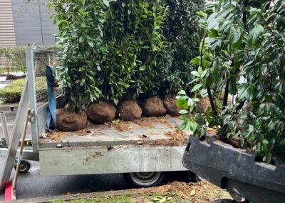 Occultation immédiate, enracinement durable