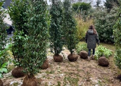 Occultation immédiate, enracinement durable