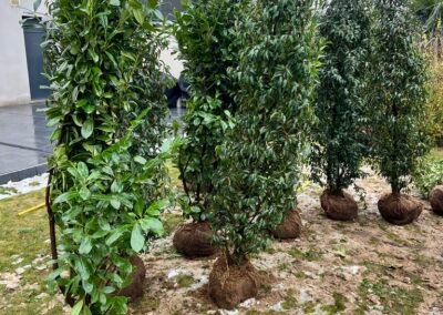 Occultation immédiate, enracinement durable