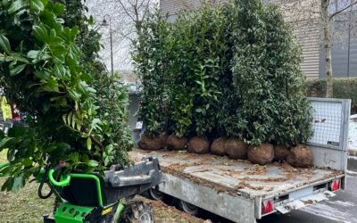 👉 Paysagiste à Coulommiers (77120) – Woodpecker Paysage, expert en aménagement extérieur