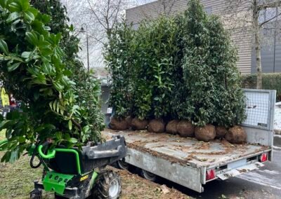 Occultation immédiate, enracinement durable