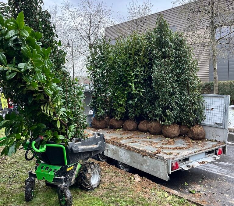 Occultation immédiate, enracinement durable