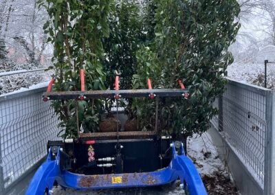 Occultation immédiate, enracinement durable