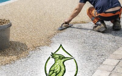 Moquette de pierre à Coulommiers (77) – Pose haut de gamme pour terrasse et allée