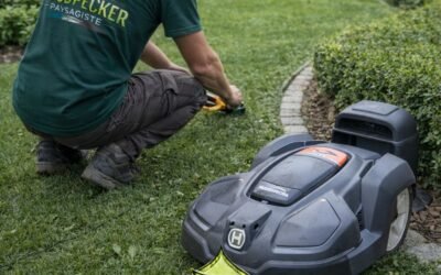 Installation de robot tondeuse en Seine-et-Marne : pose professionnelle par un paysagiste local