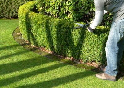 Entretien de jardin en Seine-et-Marne par un paysagiste local pour tonte, taille de haies et entretien de terrain