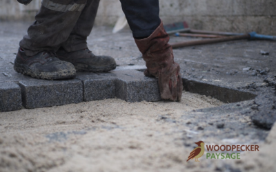 Prix d’une allée en pavé en Seine-et-Marne (77) : tarifs, préparation de sol et coût réel d’un projet durable