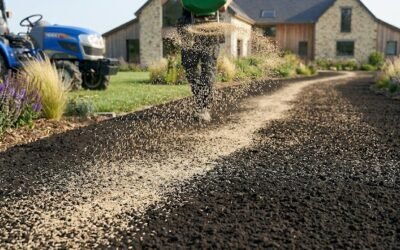 Refaire sa Pelouse dans le 77 : Expert en Engazonnement