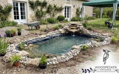 Création de Bassin en Seine-et-Marne : Transformez Votre Jardin en Oasis