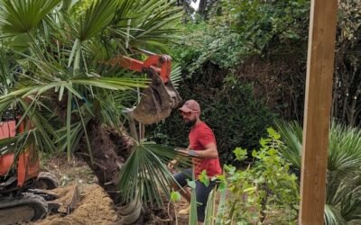 Aménagement de jardin en Seine-et-Marne (77) : votre création paysagère de A à Z
