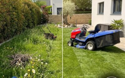 Entretien de jardin en Seine-et-Marne : comment bénéficier de 50 % de crédit d’impôt ?