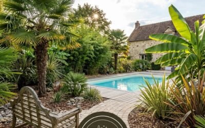 Comment créer un jardin exotique autour de votre piscine en Seine-et-Marne ?