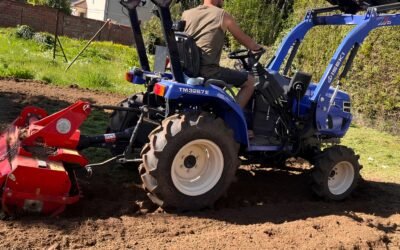 Semis ou gazon en rouleau : quelle est la meilleure option pour votre terrain en Seine-et-Marne ?