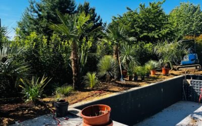 Paysagiste Coulommiers : Réussir l&rsquo;Aménagement de son Jardin