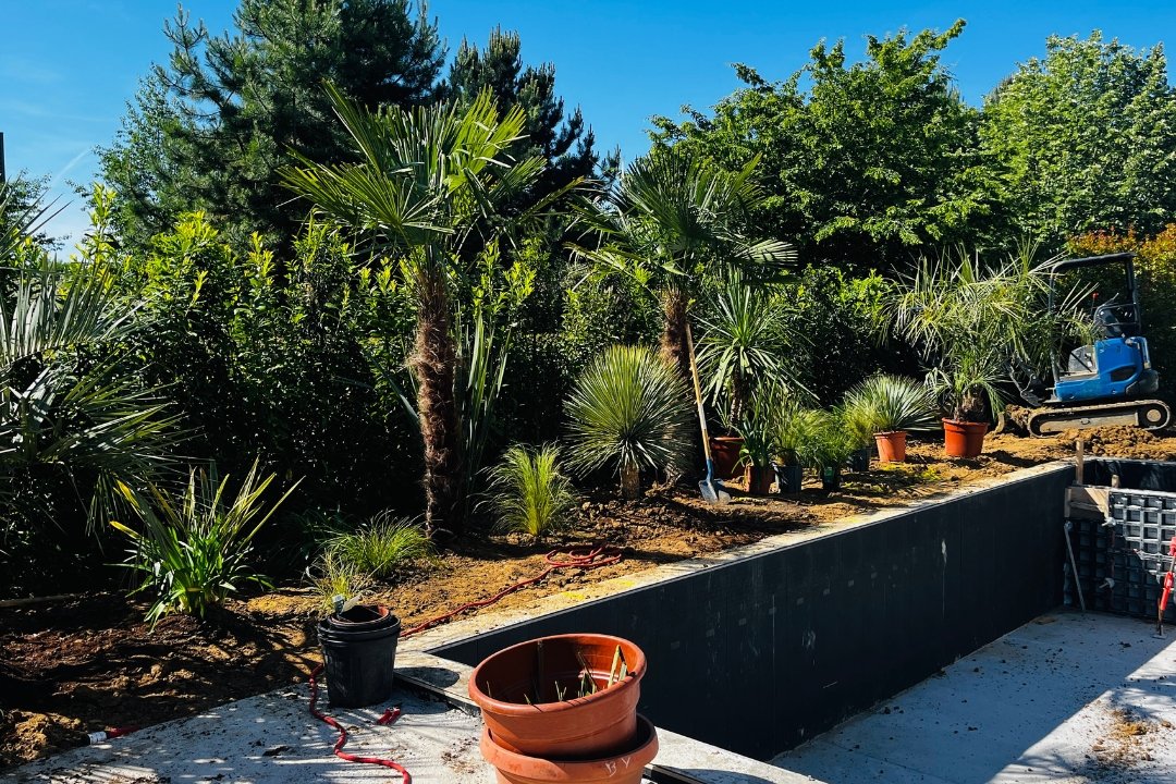 création d'un jardin exotique chessy 77